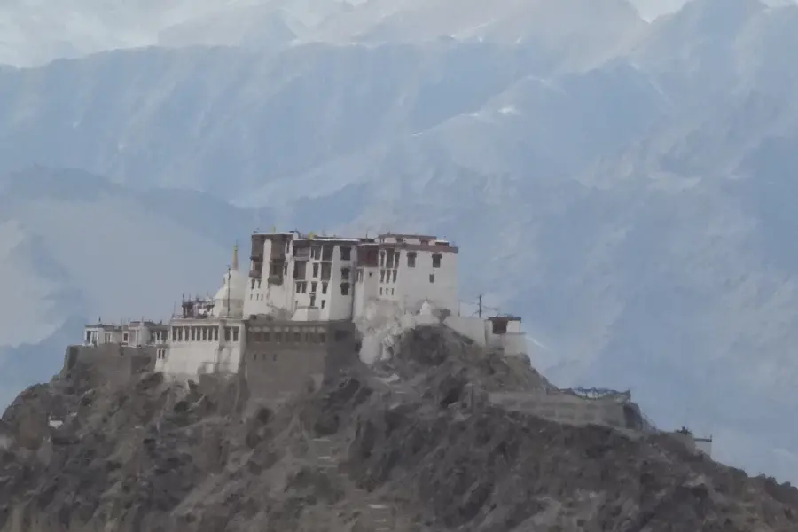 Tracking Rare Wildlife In Ladakh A Wilderness Expedition Of The Himalayas