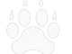 Big Cats