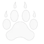 Nocturnal wildlife trails