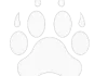 Tracking rare wildlife