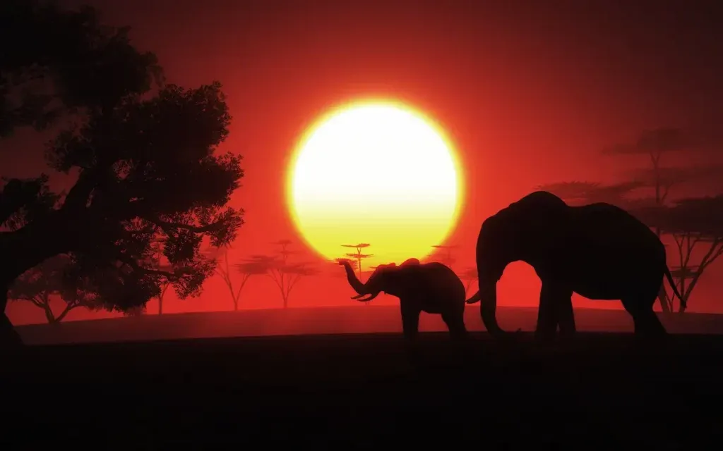The sight of elephant