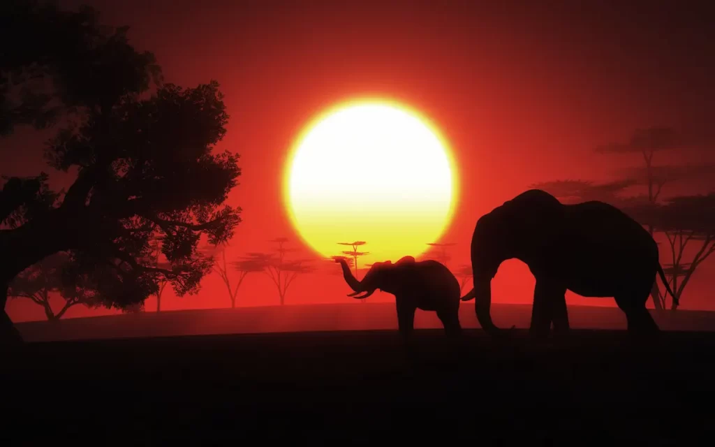The sight of elephant