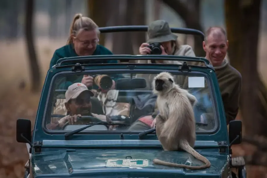 view of tourists on on a safari in a jeep.