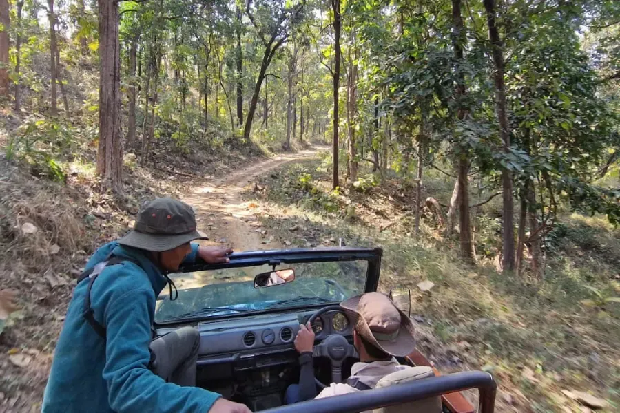 two men on a jeep during a safari trip.