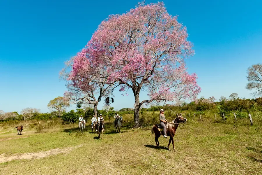 kanha expedition