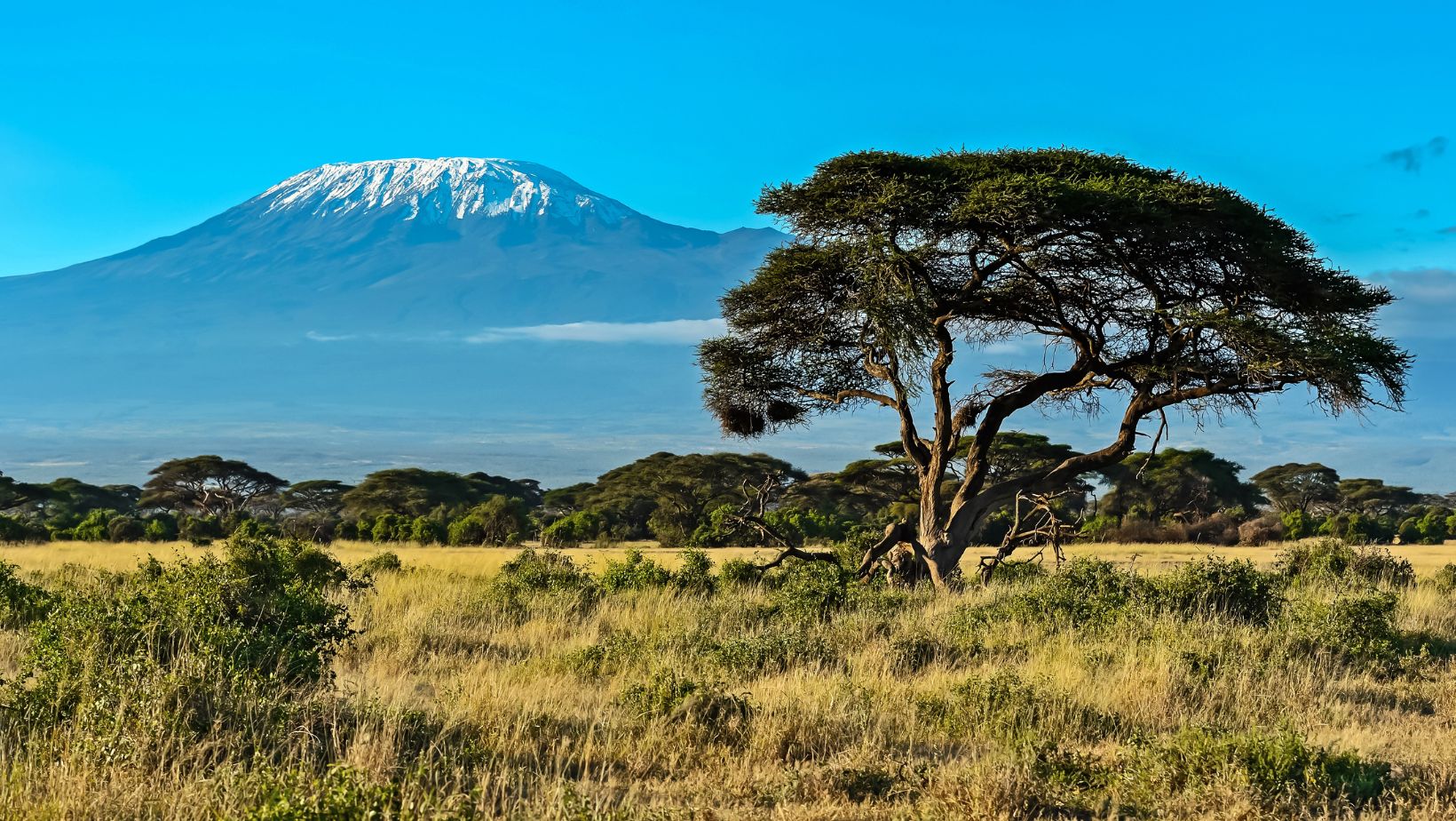 Ecosystems Of Kenya