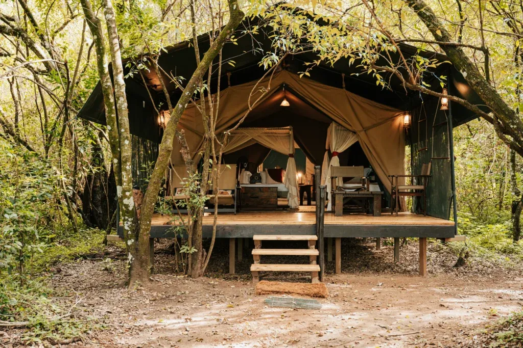 Tent at Masai Mara Tours