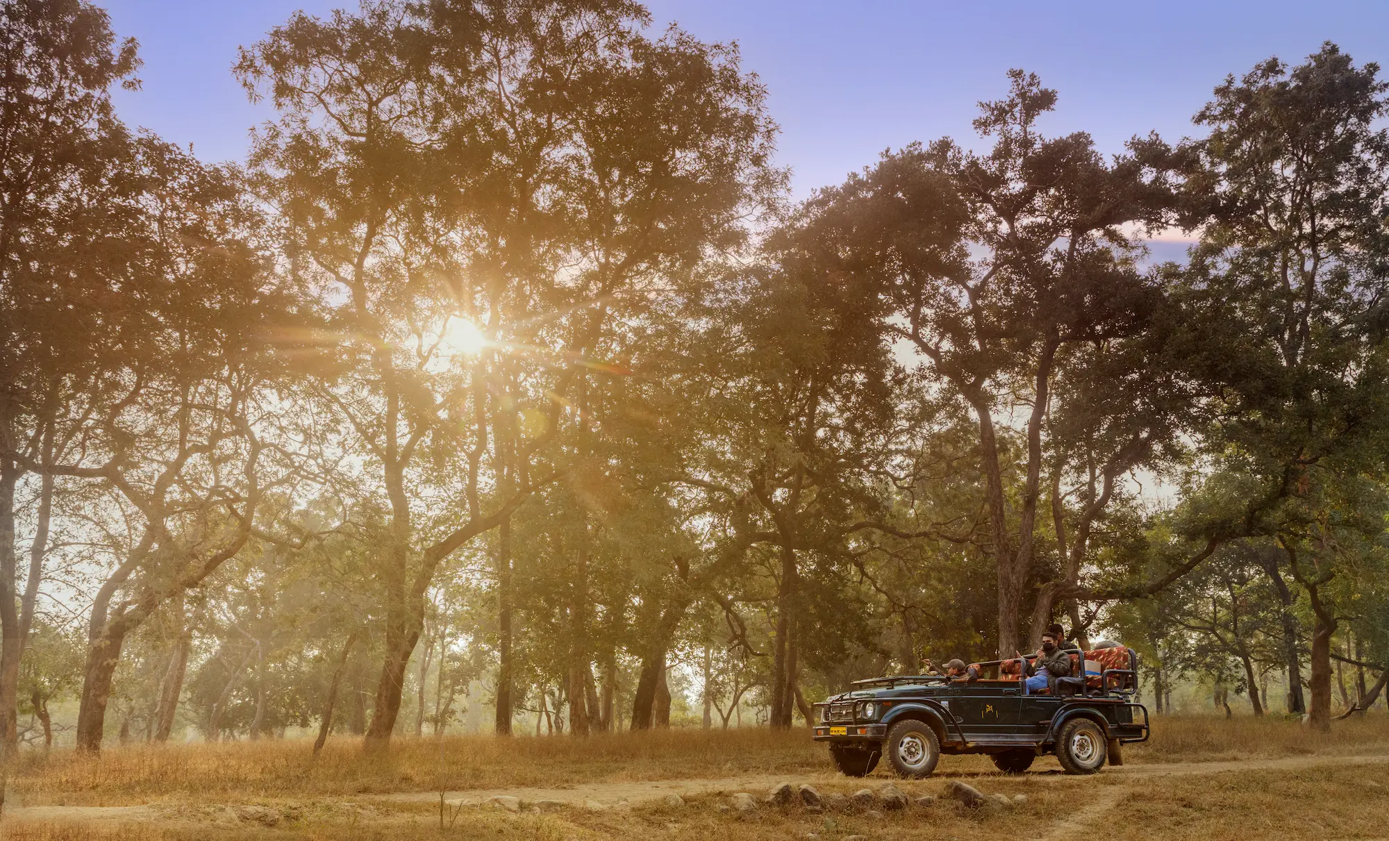 Why We Love Singalila A Guide To Wildlife Scenic Treks And Ancient Land Rover Journeys