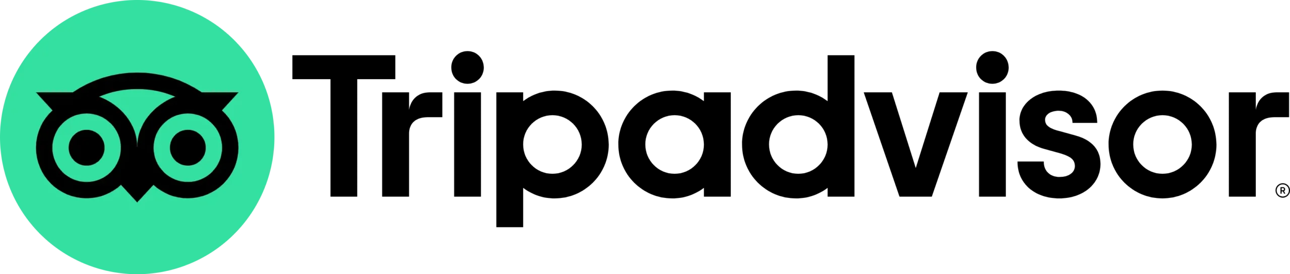 TripAdvisor Logo