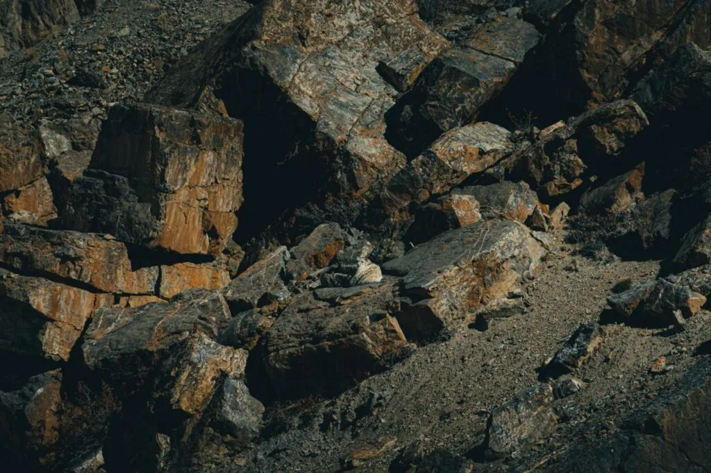 shot of a snowleopard camouflaged.
