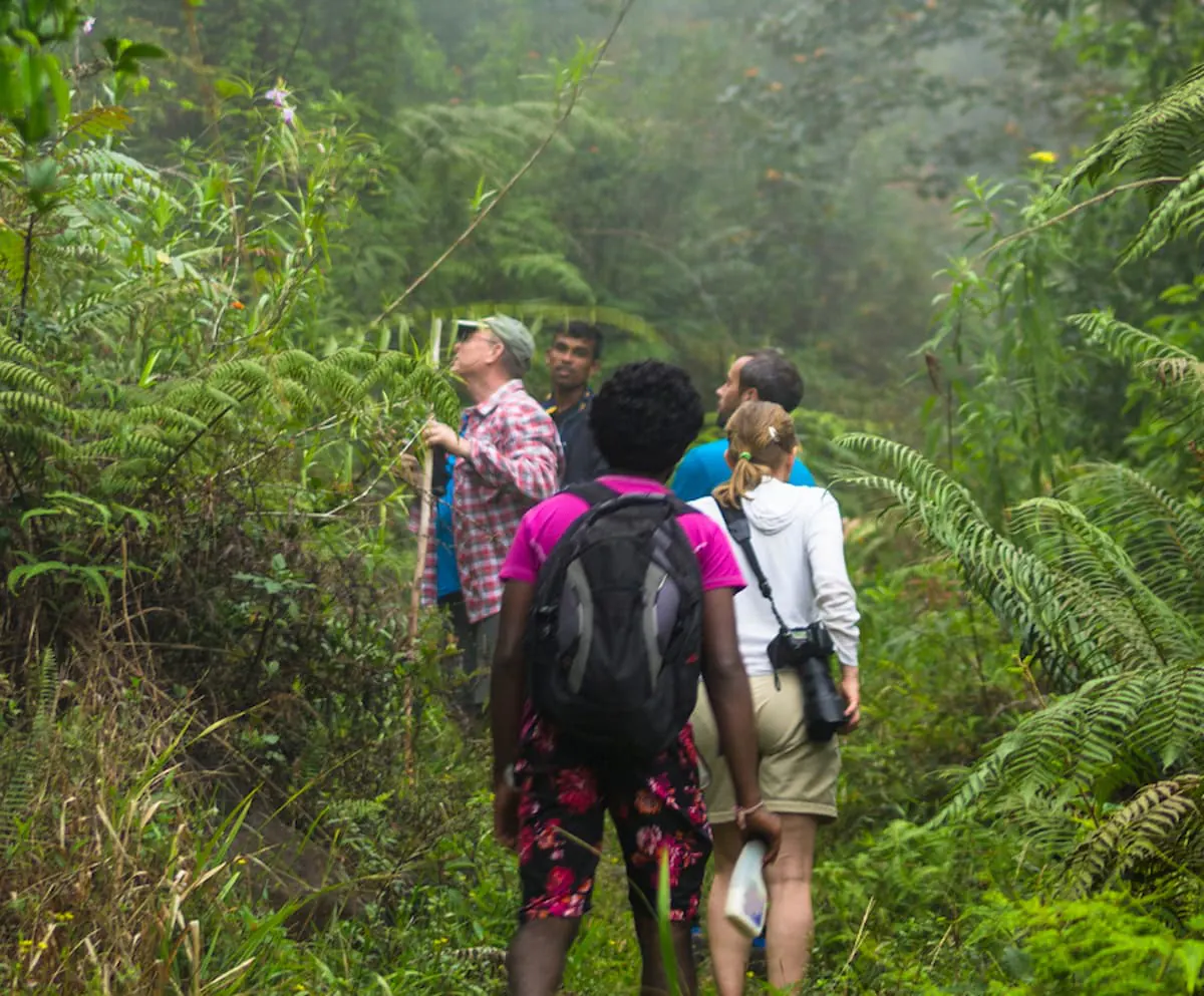 Sri Lankas Wildlife Corridors Conservation And Importance