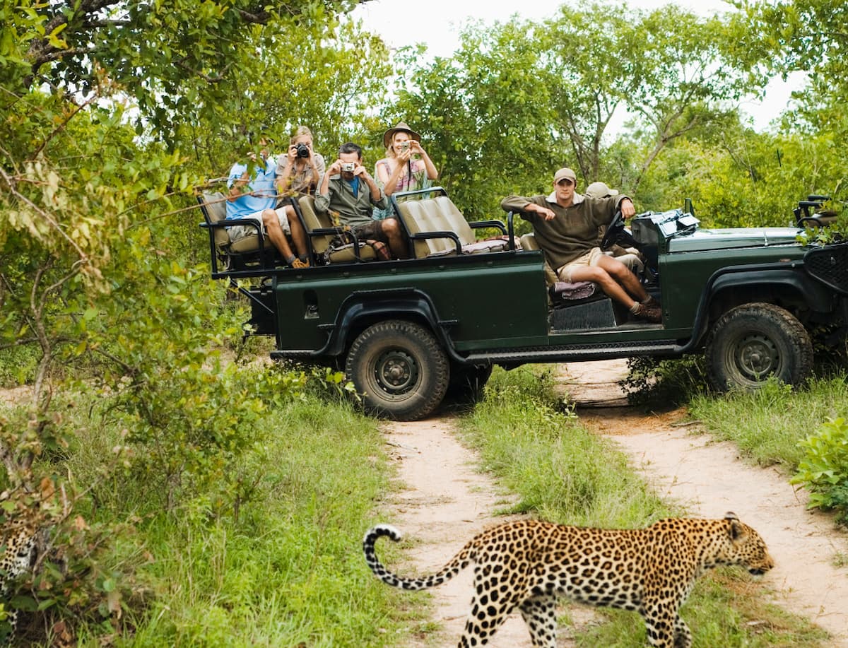 A Guide To Sri Lankas National Parks Where To Go And What To See