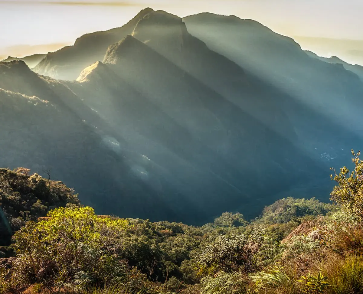 Photography On Safari Capturing The Majestic Landscapes Of Sri Lankas Parks