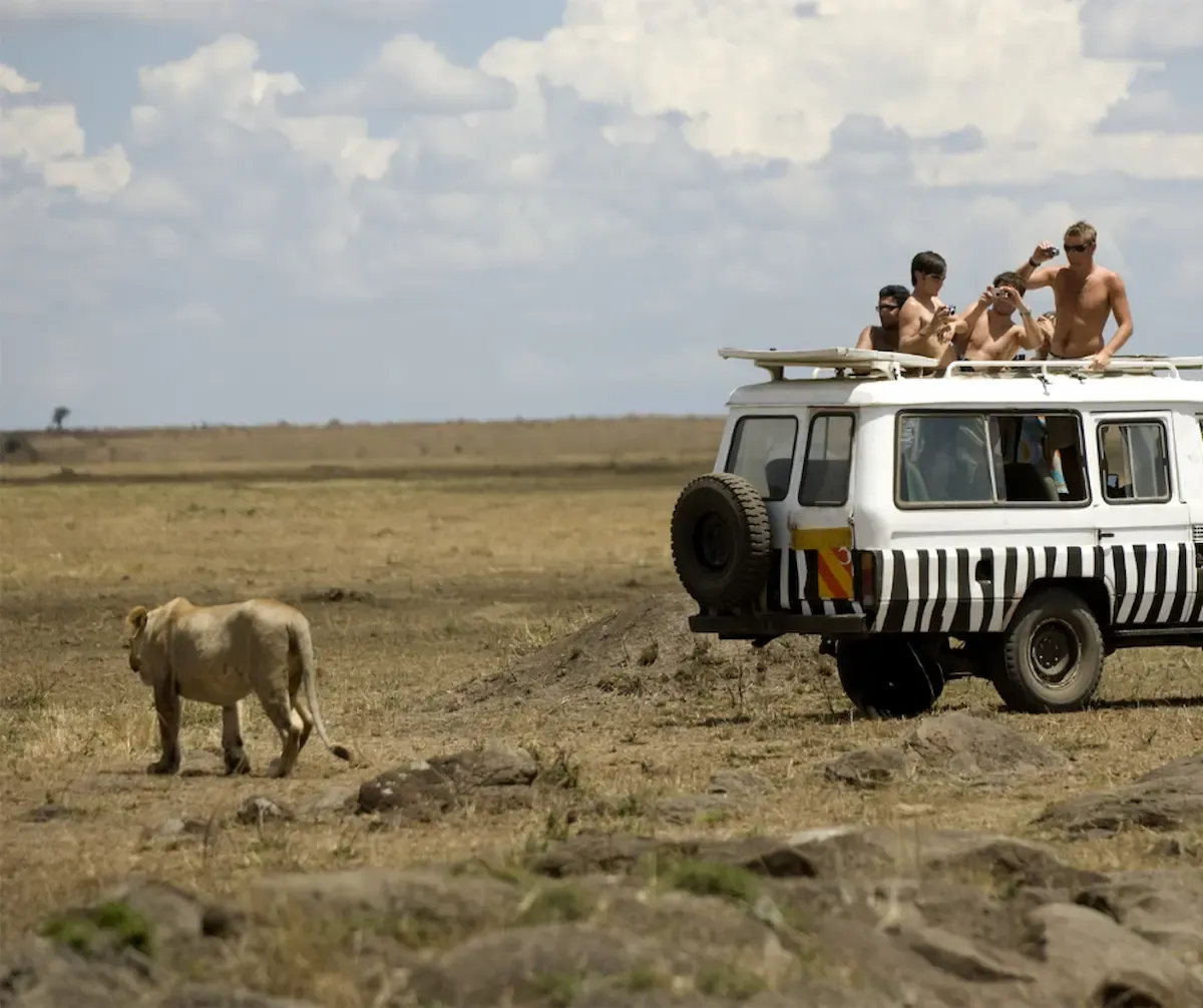You are currently viewing Photographing the Masai Mara: Tips for Capturing Its Landscape and Wildlife