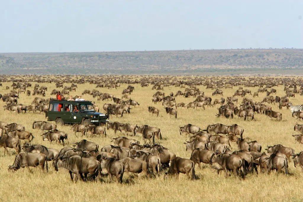 Magnificent Maasai