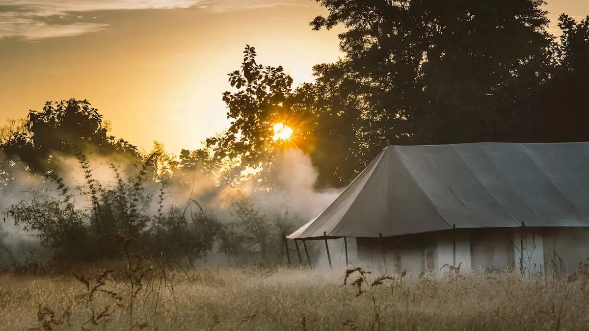 Why India Is Still One Of The Top Places For A Wildlife Safari
