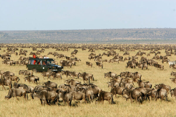 Magnificent Maasai