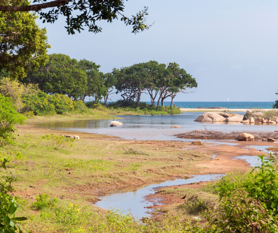 Yala National Park