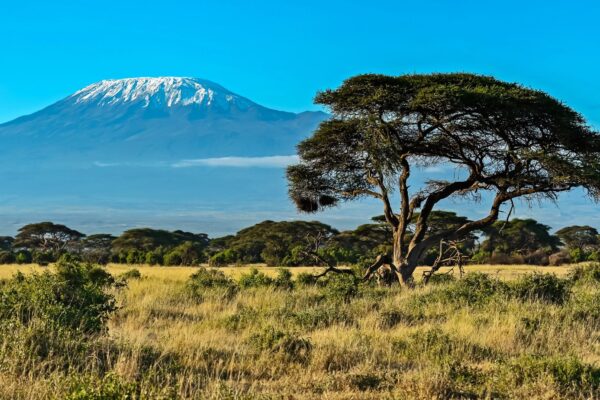 Exploring the Ecosystems of Kenya: From Savanna to Coastal Regions