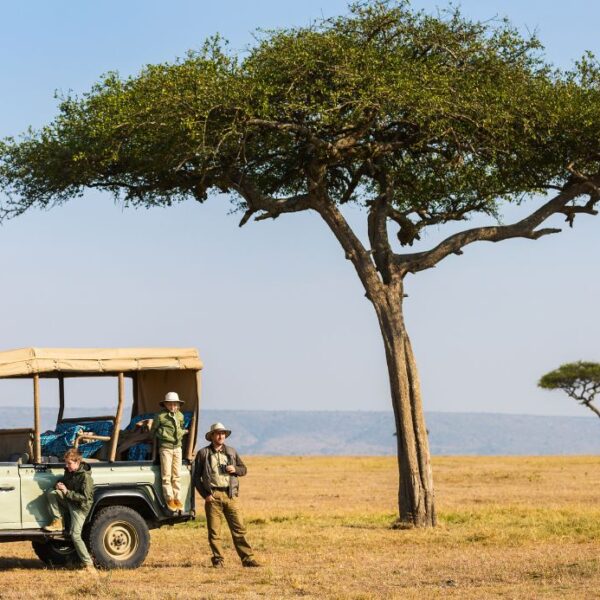 Wildlife Safaris in Kenya: Spotting the Big Five and More