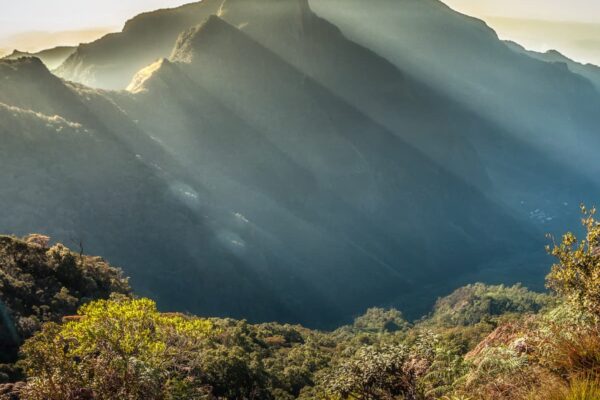 Photography on Safari: Capturing the Majestic Landscapes of Sri Lanka’s Parks