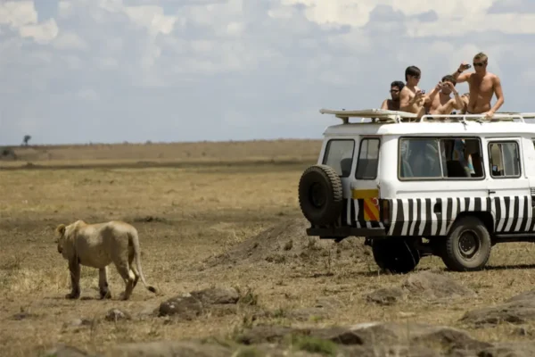 Photographing the Masai Mara: Tips for Capturing Its Landscape and Wildlife