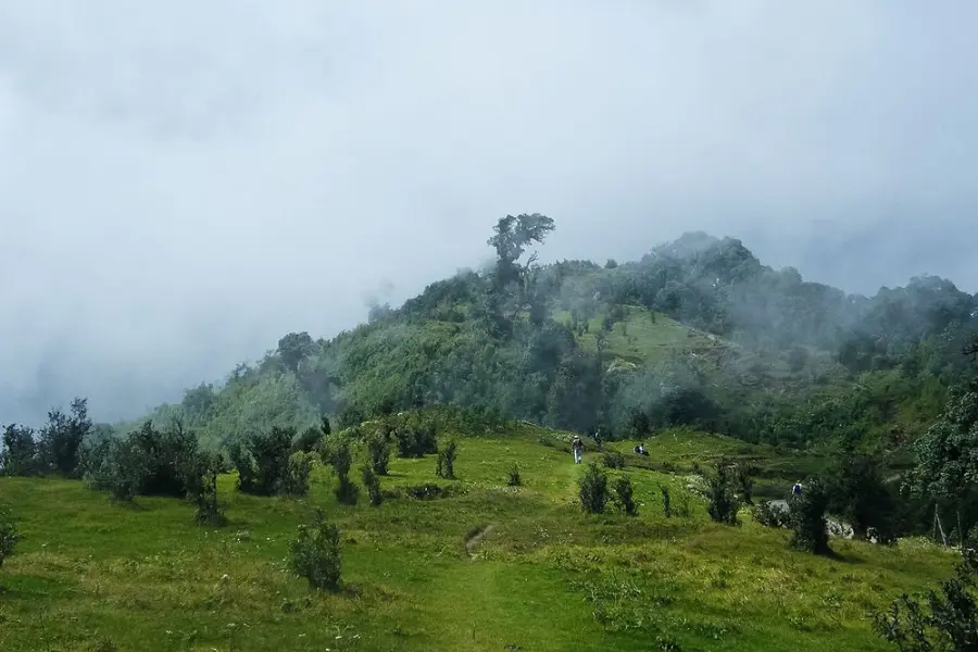 Singalila Wildlife tours