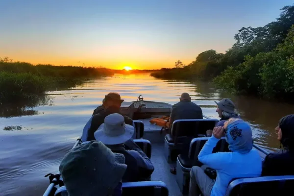 Pantanal Ecotourism: Conservation and Wildlife Adventures in Brazil’s Wetlands