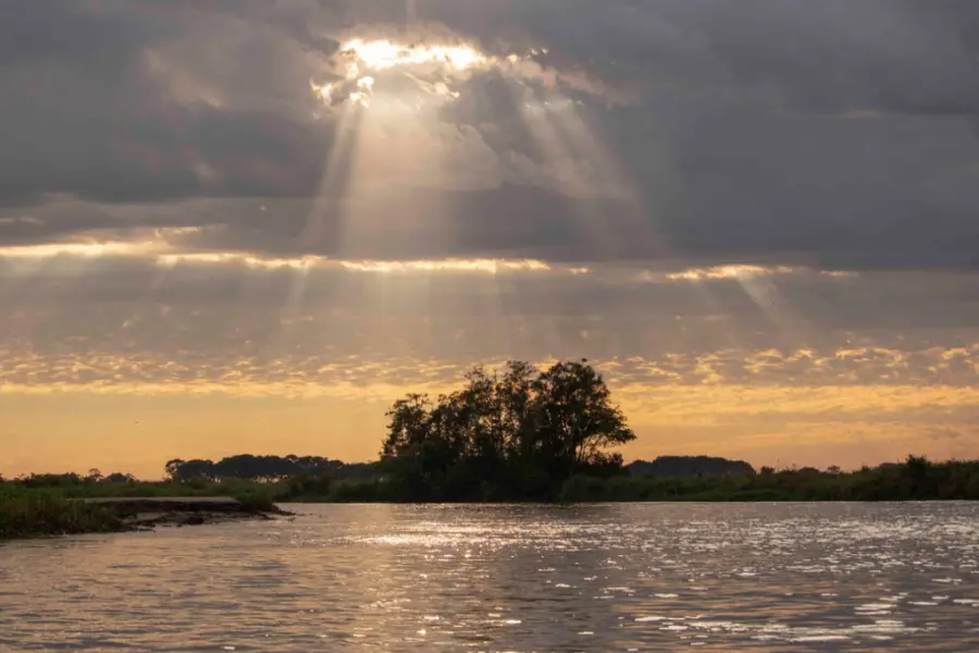 Pantanal Wildlife Safari, brazil safari