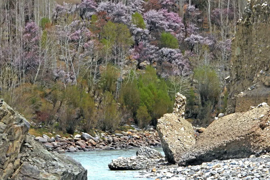 Ladakh wildlife tours