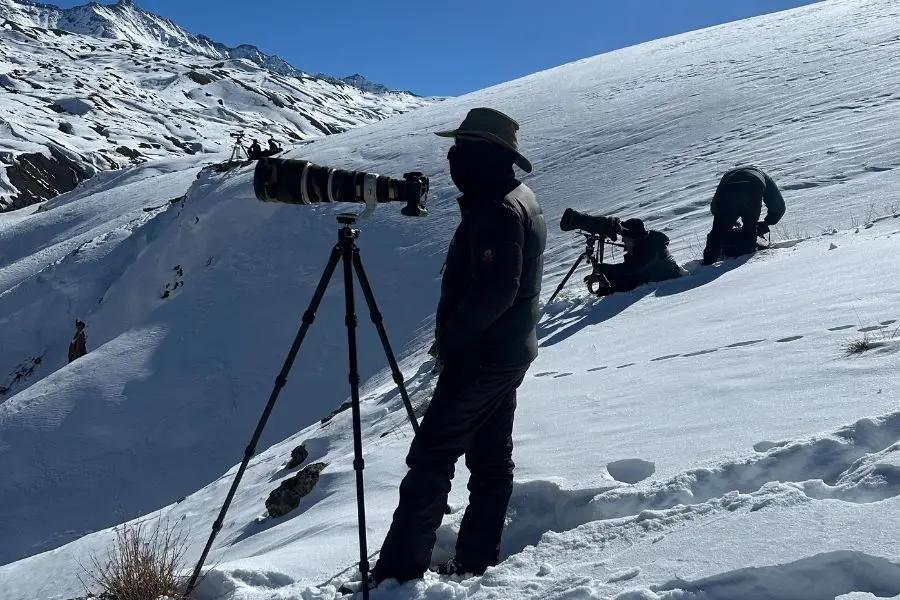 Snow Leopard Expedition