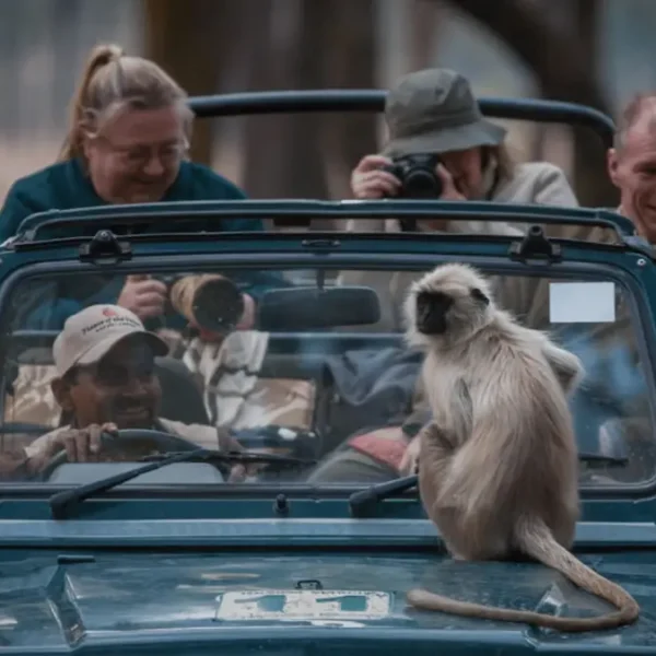 North vs. South India Wildlife Safaris: What’s the Difference?