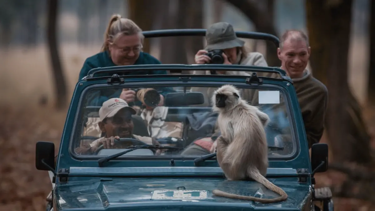 You are currently viewing North vs. South India Wildlife Safaris: What’s the Difference?