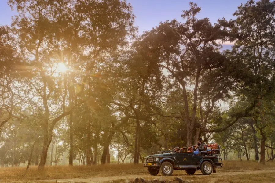 India Wildlife Safari
