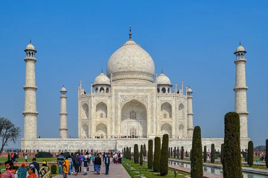 india tiger safari, tiger tours india