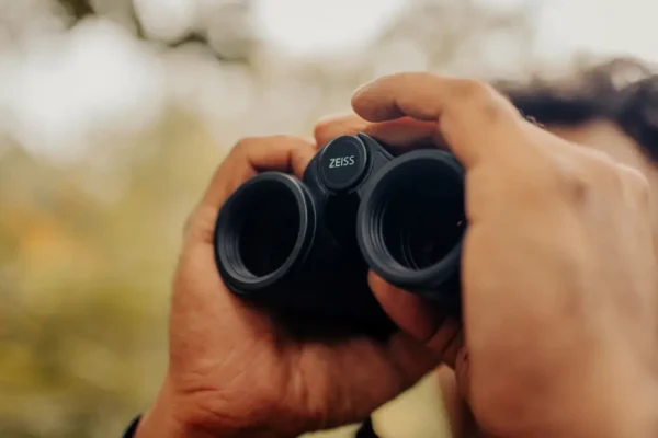 The Jungle Book Comes Alive: Wildlife of Central India