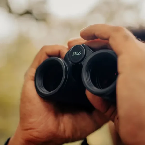 The Jungle Book Comes Alive: Wildlife of Central India