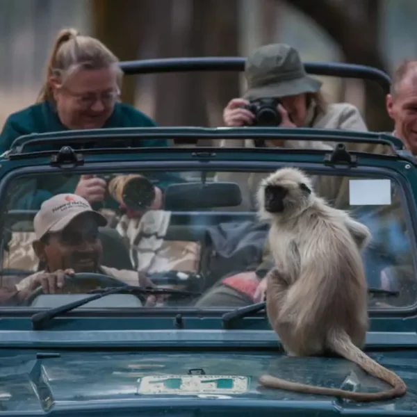 Kanha National Park: The Ultimate Jungle Adventure