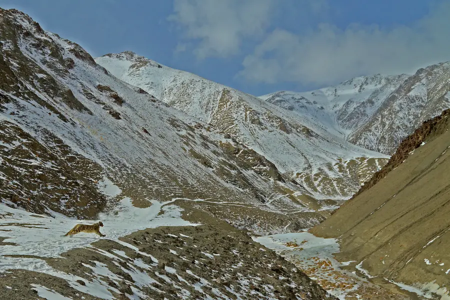 View of the Snowy Himalayan mountains.