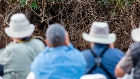 view of expert naturalists
