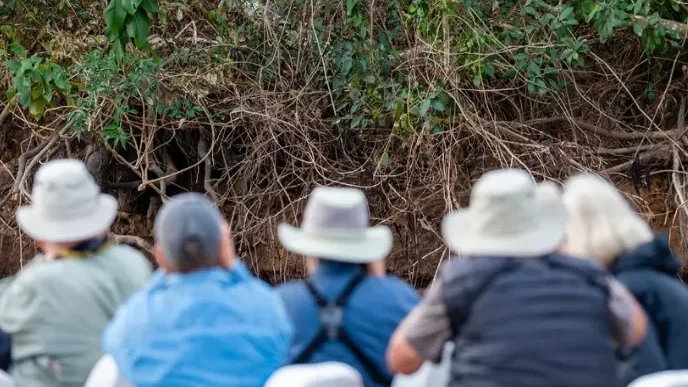 view of tourists/guests on a safari/expedition.