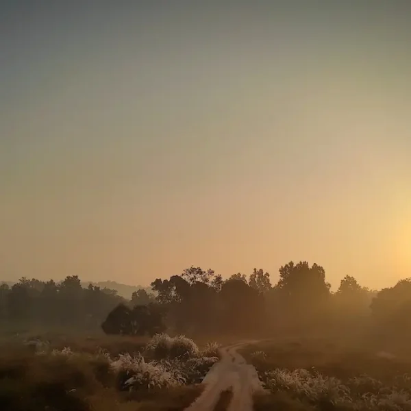 Seasons of Kanha: Choosing the Perfect Time for Your Safari