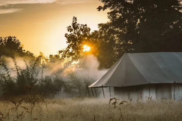 Why India Is Still One of the Top Places for a Wildlife Safari