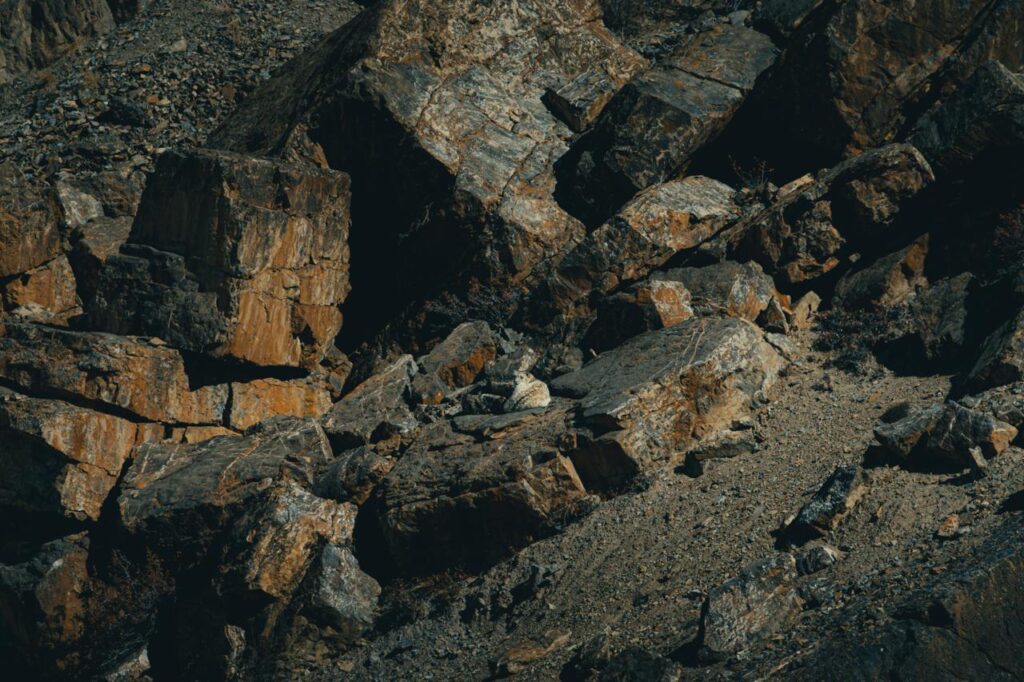 shot of a snowleopard camouflaged.