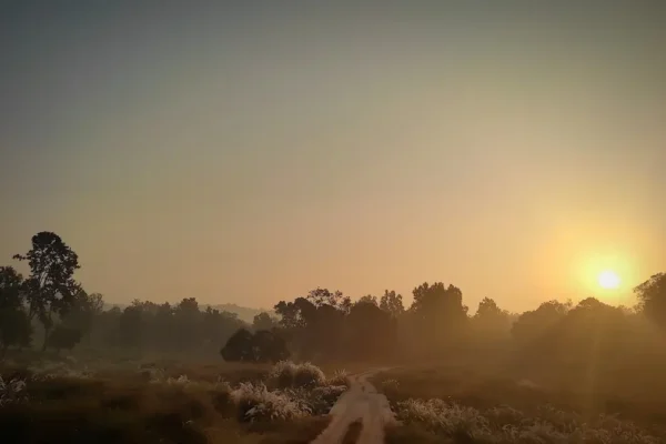 Kanha Expedition: Where Forests and Wildlife Come Alive