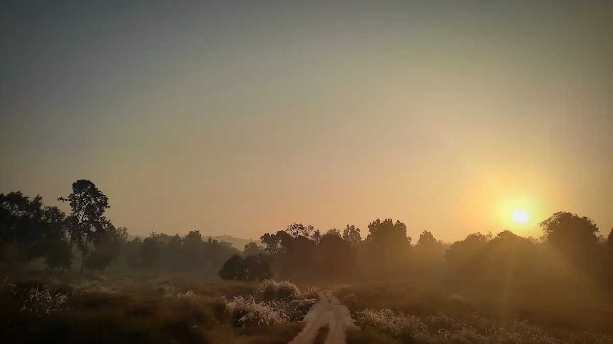 You are currently viewing Kanha Expedition: Where Forests and Wildlife Come Alive