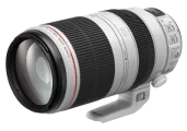 Canon EF100-400mm f-4.5-5.6L